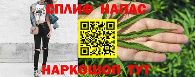трава Брянск