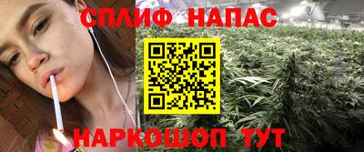 трава Брянск