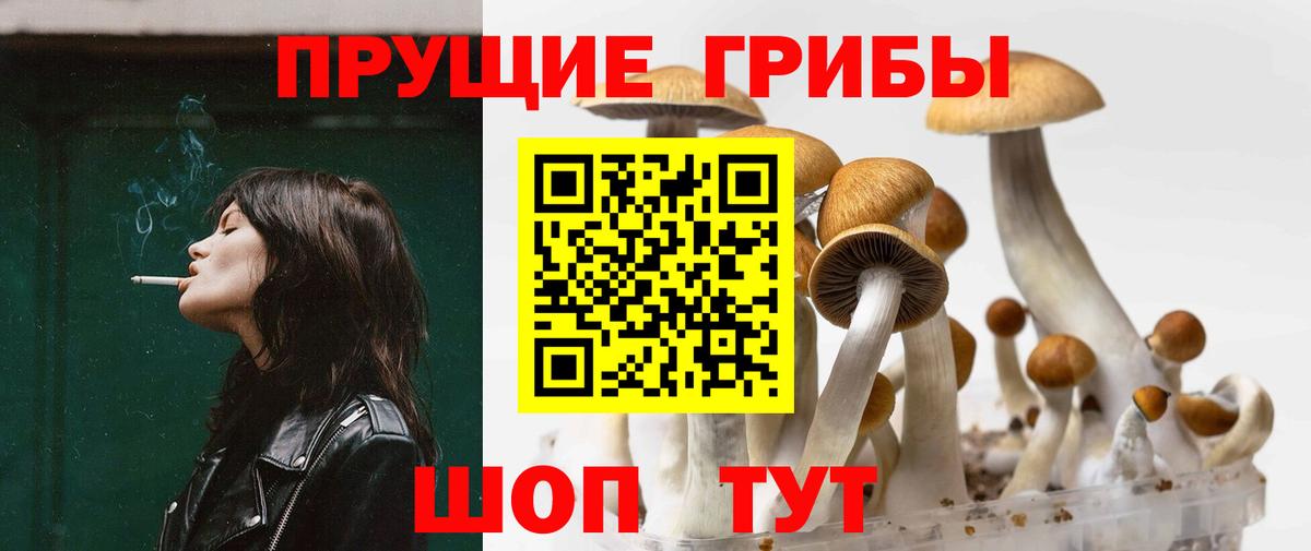Псилоцибиновые грибы Cubensis Котлас